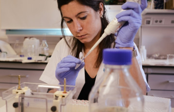 Circuitos celulares sintéticos encapsulados para restablecer el control glucémico en diabetes mellitus tipo 1 en ratones